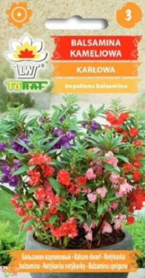 Netýkavka balzamína (semena)