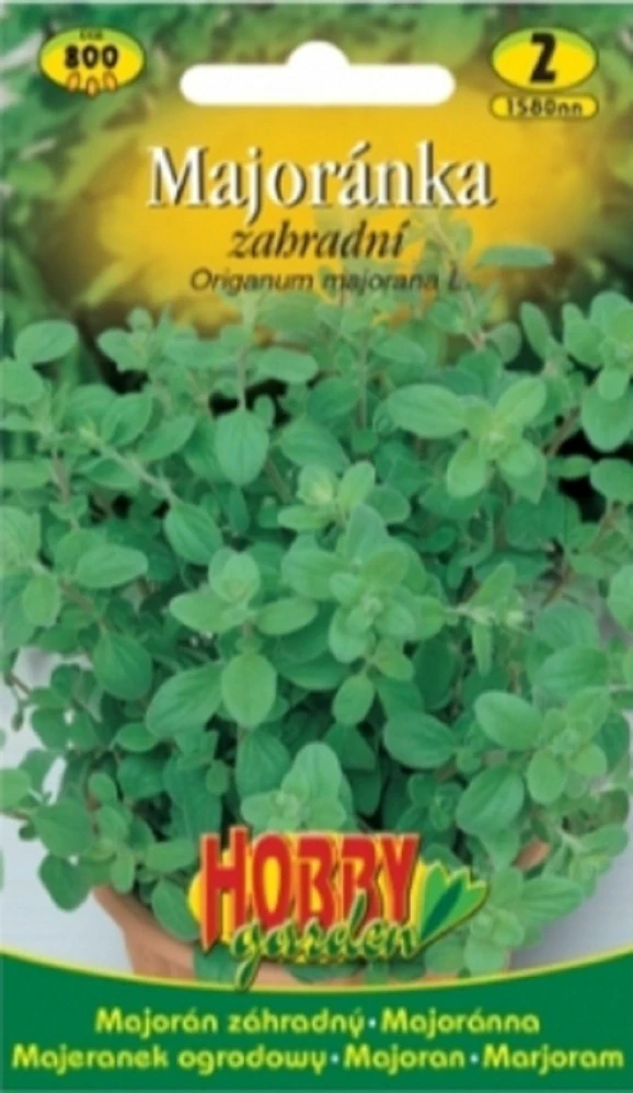Majoránka zahradní (semena)