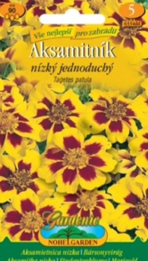Aksamitník nízký jednoduchý, žluto-hnědý (semena)