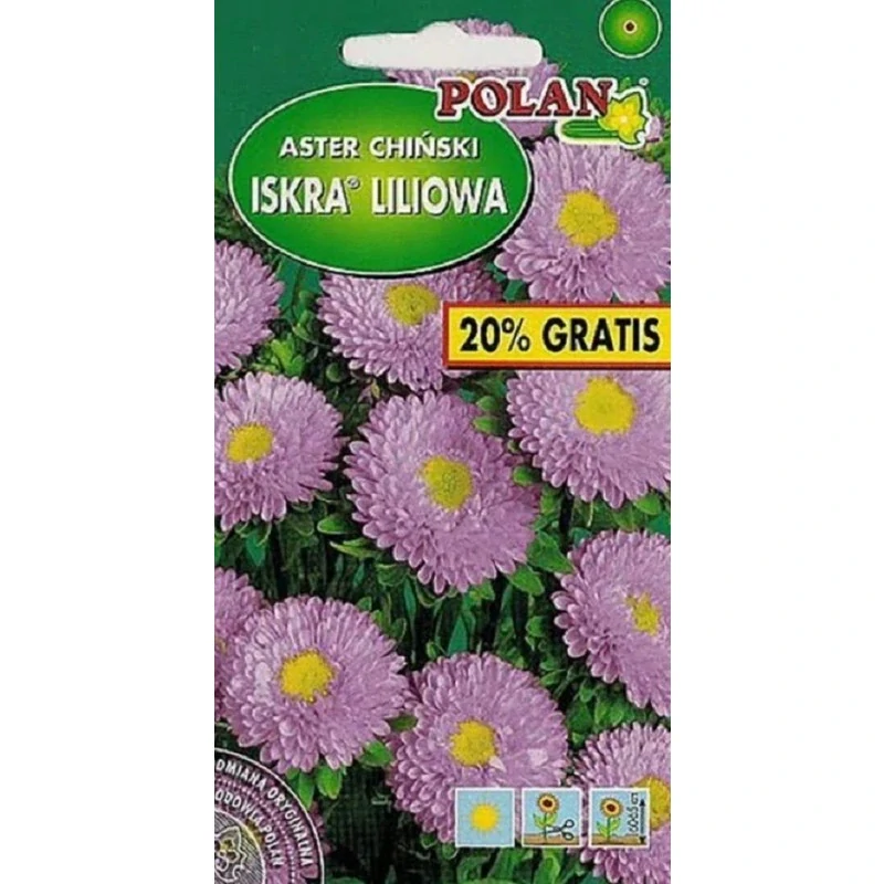 Sáček semen astry čínské Iskra se světle fialovými poloplnými květy