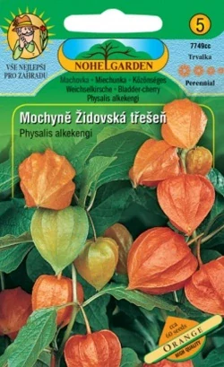 Mochyně židovská třešeň (semena)