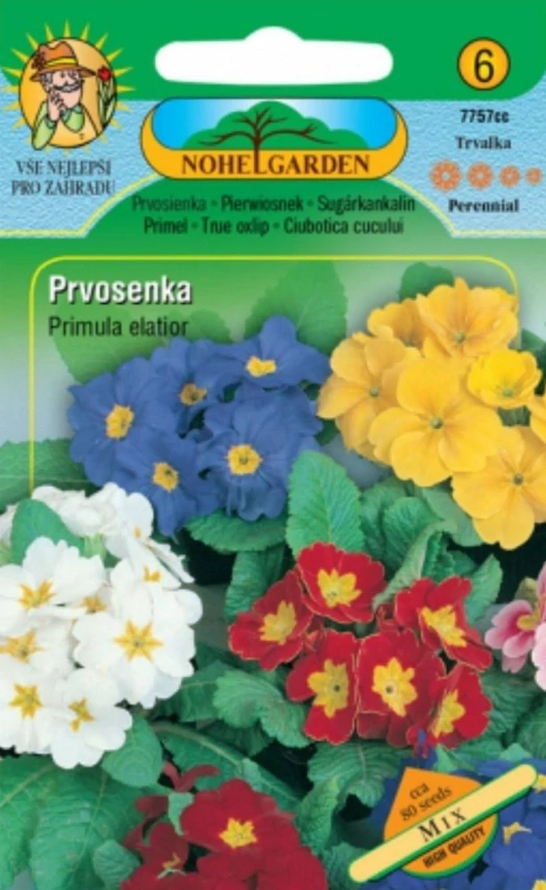 Prvosenka vyšší směs (semena)