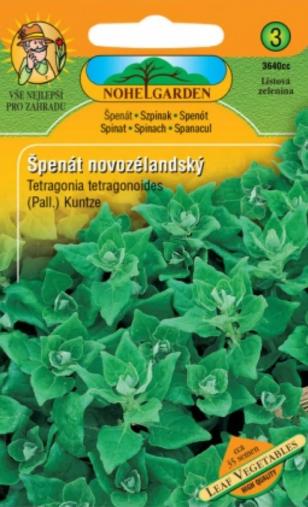 Špenát novozélandský (semena)