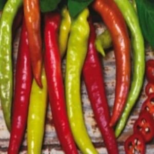 Paprika sladká beraní roh (semena)