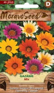 Gazánie zářivá směs (semena)