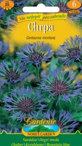 Chrpa horská modro-fialová (semena)
