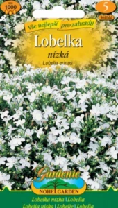 Lobelka drobná nízká, bílá (semena)