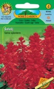 Šalvěj zářivá, červená (semena)