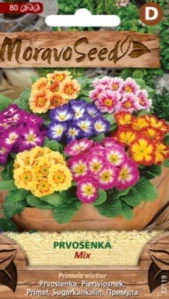 Prvosenka vyšší směs (semena)