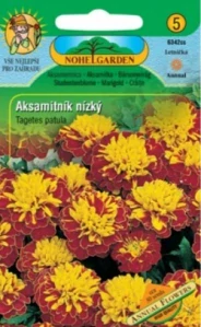 Aksamitník nízký plnokvětý hnědo-žlutý (semena)