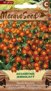 Aksamitník jemnolistý červený (semena)