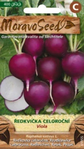 Ředkvička Viola (semena)