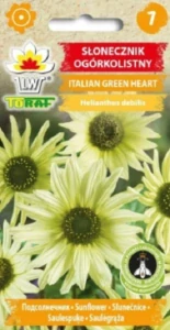 Slunečnice Italian green heart (semena)