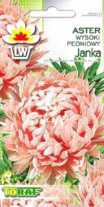 Astra pivoňkovitá vysoká Janka – světle růžová (semena)