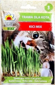 Kočičí tráva (semena)