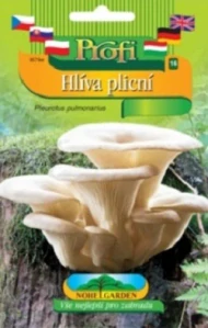 Hlíva plicní, sadba