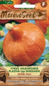 Tykev velkoplodá plazivá Hokaido (semena)