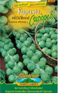 Kapusta růžičková, Casiopea (semena)