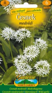 Medvědí česnek (semena)