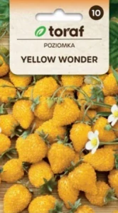 Jahodník žlutý, Yellow wonder (semena)