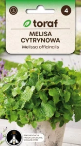 Meduňka lékařská (semena)