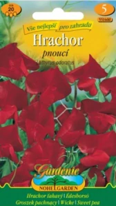 Hrachor pnoucí červený (semena)