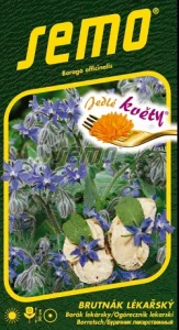 Brutnák lékařský, jedlé květy (semena) 