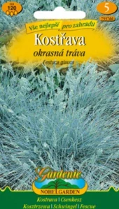 Kostřava okrasná tráva (semena)