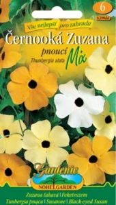 Černooká Zuzana pnoucí (semena)