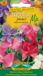 Hrachor vonný pnoucí mix (semena)