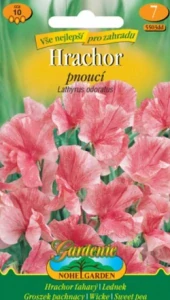Hrachor pnoucí vonný, růžový (semena)