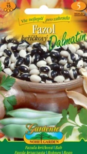 Fazol keříčkový Dalmatin (semena)