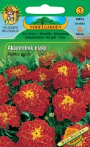 Aksamitník nízký Red-Brown (semena)