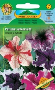 Petúnie velkokvětá mix (semena)