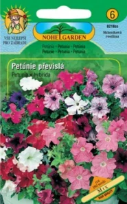 Petúnie převislá mix (semena)