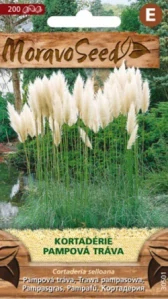 Kortadérie, Pampová tráva (semena)