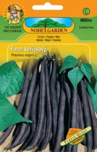 Fazol keříčkový, fialový Purple Queen (semena)