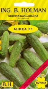 Okurka nakládačka jemnoostná Aurea F1 (semena)