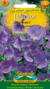 Hrachor vonný pnoucí modrý (semena)