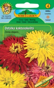 Ostálka lepá kaktusokvětá směs (semena)