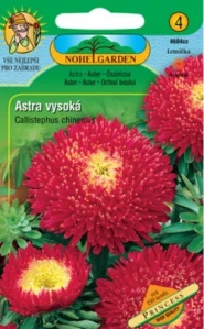 Astra čínská vysoká Princess, červená (semena)