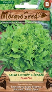 Salát listový k česání Dubáček (semena)