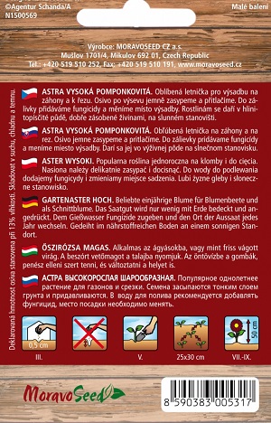 Astra vysoká pomponkovitá modro-bílá (semena)