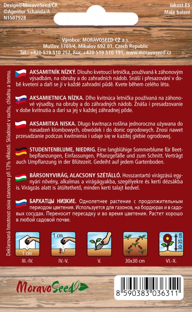 Aksamitník rozkladitý jednoduchý, žlutý žíhaný (semena)