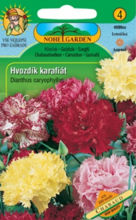 Hvozdík karafiát Chabaud, směs (semena)