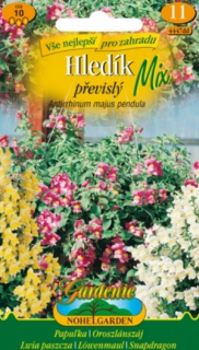 Hledík převislý směs (semena)