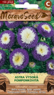 Astra vysoká pomponkovitá modro-bílá (semena)