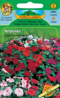 Netýkavka sultánská jednoduchá, směs (semena)