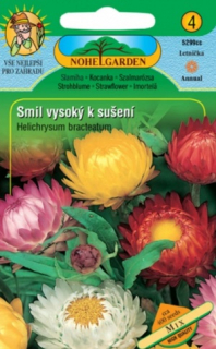 Smil vysoký k sušení (semena)