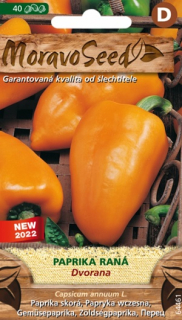 Paprika zeleninová raná oranžová Dvorana (semena)